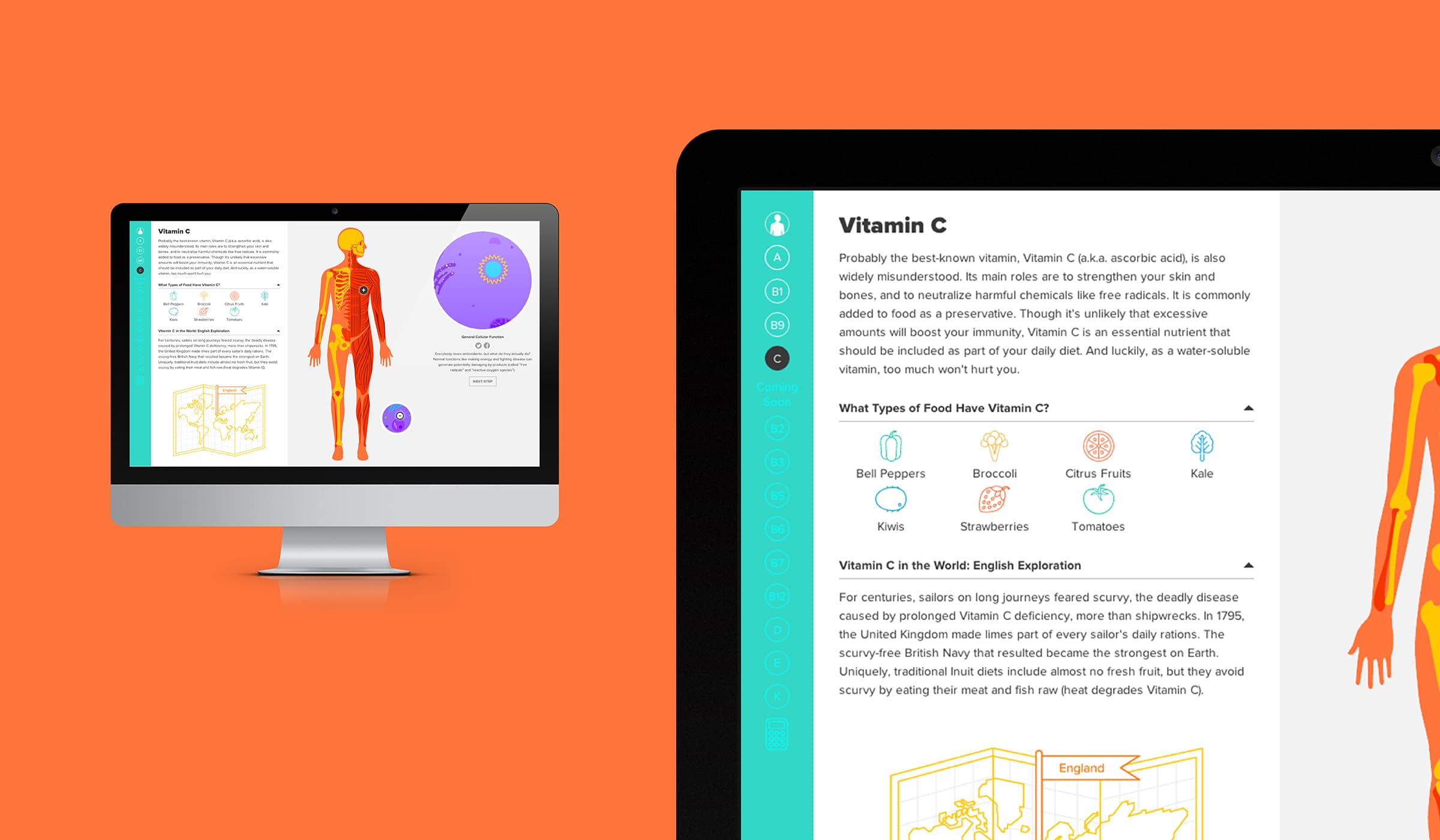 A computer monitor and a tablet displaying educational material about vitamin C. The tablet shows detailed text and illustrations about vitamin C sources and its benefits for the body, while the computer monitor displays a skeletal diagram and related content.