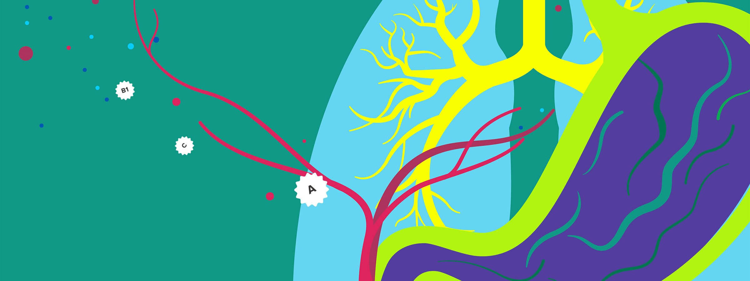 An abstract illustration featuring a stylized digestive system. Bright colors include green, blue, purple, and yellow elements representing body parts. Red and purple veins run through, with white cell-like shapes labeled "A", set against a green and blue background.