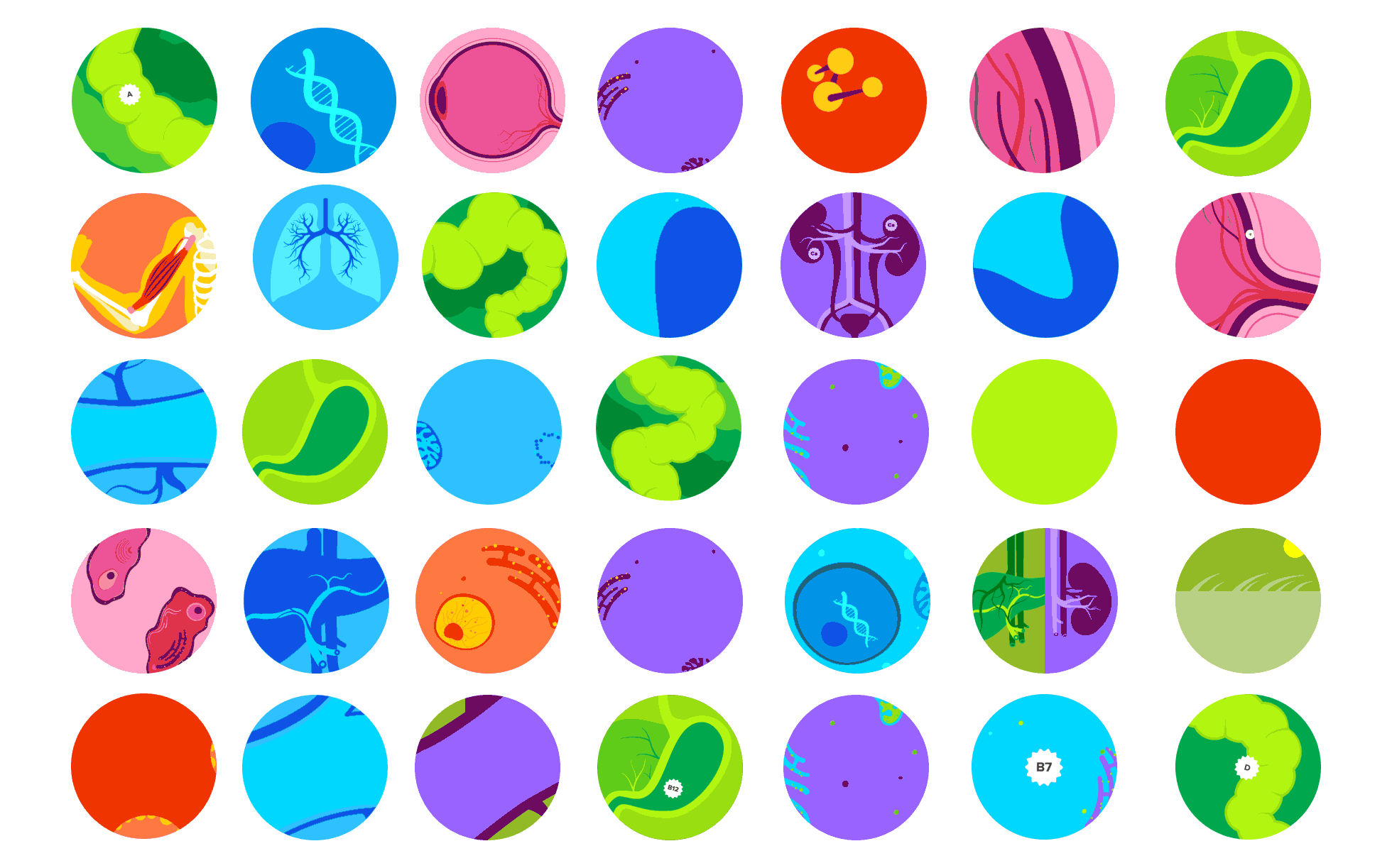 A grid of thirty-six colorful circles, each featuring an artful, stylized depiction of various cells, biological structures, and molecules. The circles vary in color, including shades of blue, green, red, and purple, with different intricate patterns and designs.