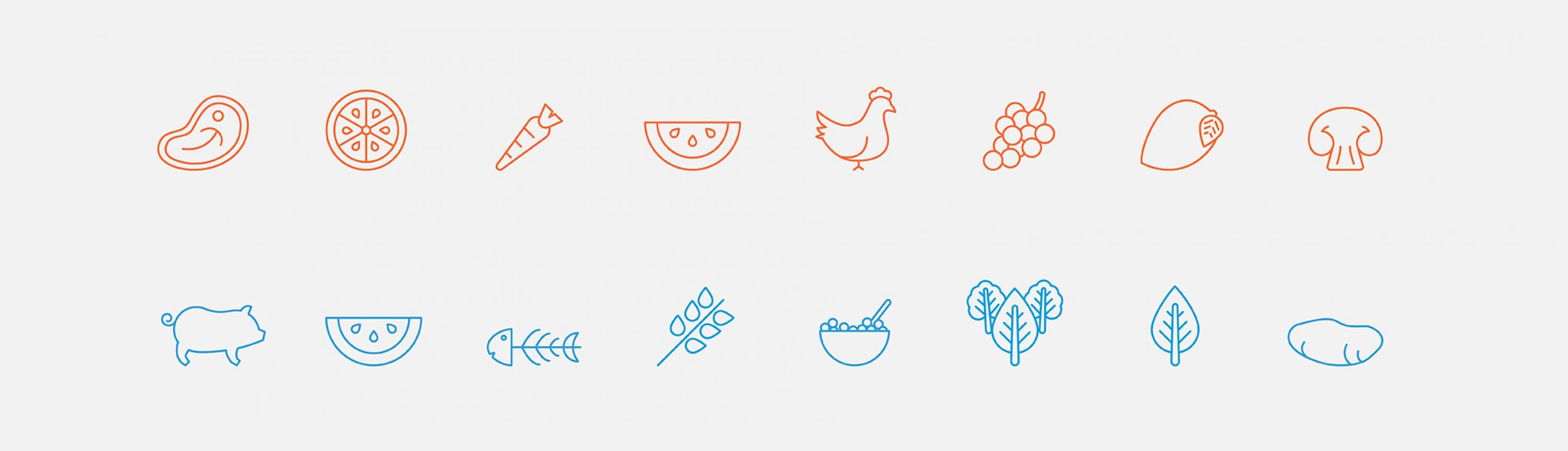 A series of minimalistic line drawings representing various foods. From left to right: steak, orange slice, carrot, watermelon slice, chicken, grape bunch, garlic, shrimp, pig, watermelon slice, wheat, bowl of cereal, two leafy greens, and potato.