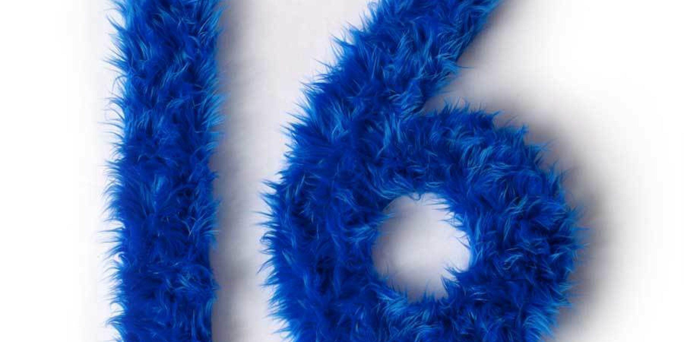 The number "16" is formed using blue, fluffy feathers against a plain white background.