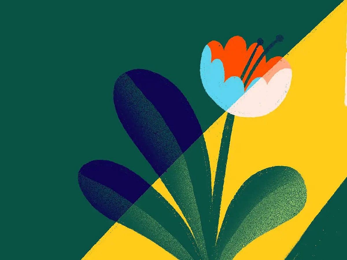 A stylized illustration of a flower with multicolored petals and green leaves, standing in a beam of yellow sunlight coming through a window on a green background.