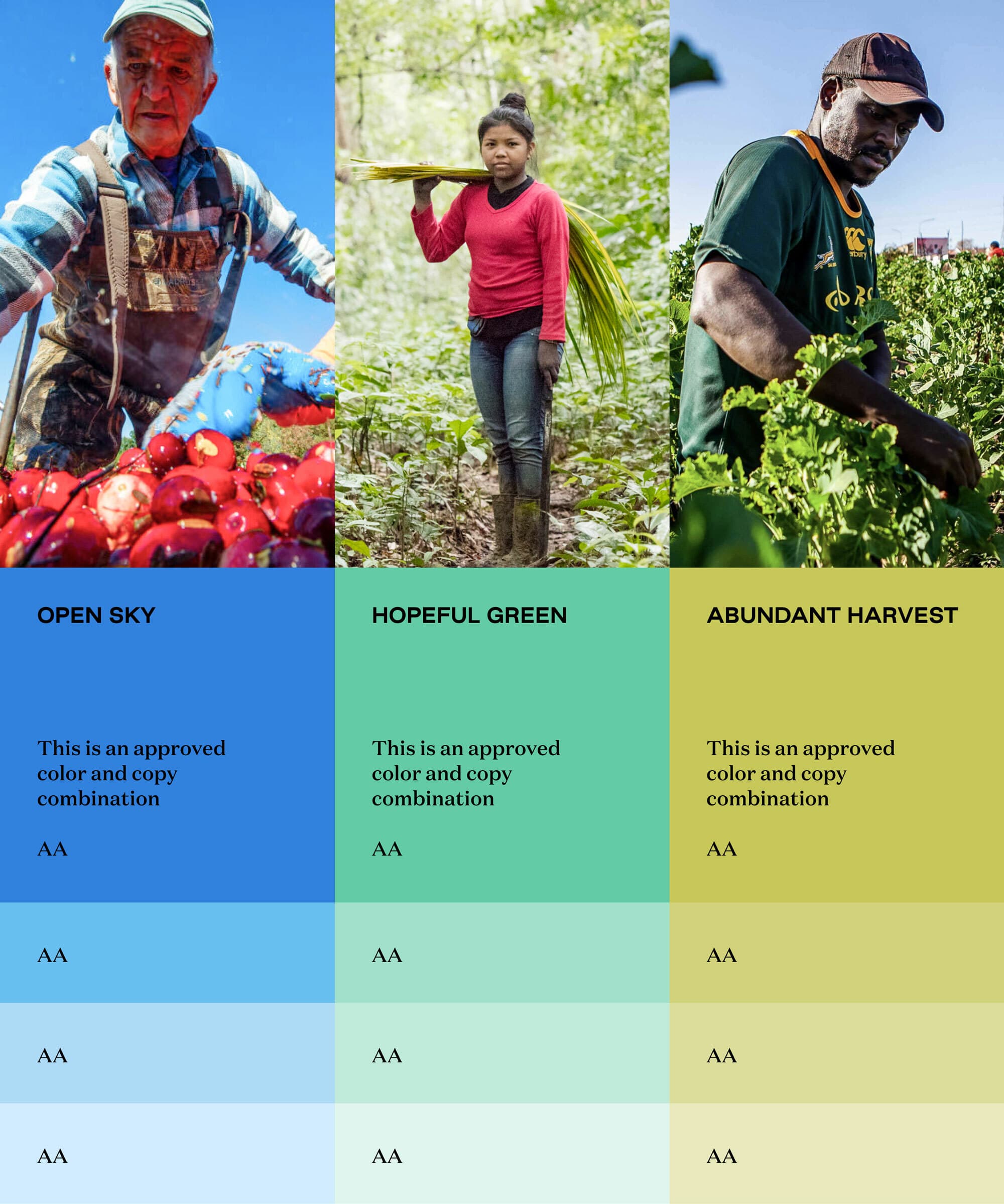 A visual comparison of three color and copy combinations for a project. The combinations are labeled "Open Sky," "Hopeful Green," and "Abundant Harvest," each with a background of field workers: a man with apples, a woman carrying produce, and a man in a leafy field.