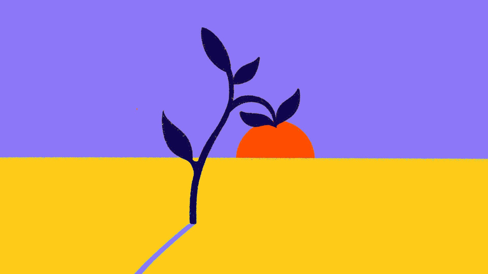 Minimalist illustration of a plant sprout with dark leaves against a background divided into a yellow ground and purple sky. An orange circle representing a rising or setting sun is partially visible on the horizon.